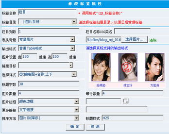 圖片和自定義js的問題 領先建站cms提供服務商 我們專注于cms建站產品的研發(fā)